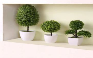 社区绿化工作总结范文8篇