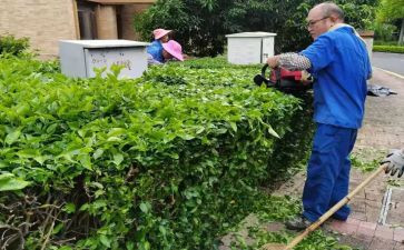 绿化办工作总结5篇