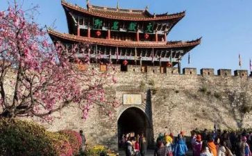 旅游类调研报告8篇