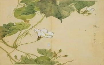 氓的读后感600字推荐6篇