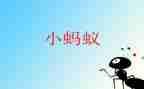 小班逗蚂蚁教案7篇