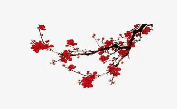 关于梅花的短作文推荐5篇