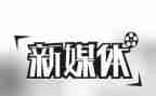星媒体工作总结7篇