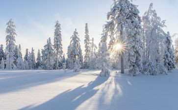 冬天的雪读后感最新5篇