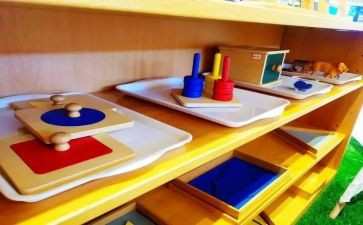 幼儿蒙氏教师工作总结6篇