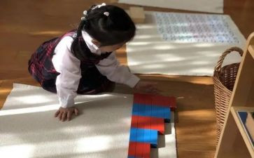 幼儿蒙氏心得体会最新8篇