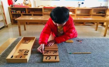 蒙氏教育学期总结范文7篇