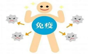 2024年计划免疫个人总结工作总结7篇