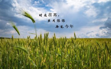 明年的自己作文5篇