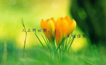 名人传作文600字8篇