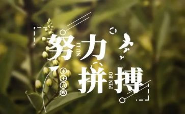 名人事迹作文5篇