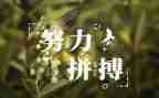 名人事迹作文5篇