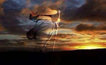 读书命运作文5篇