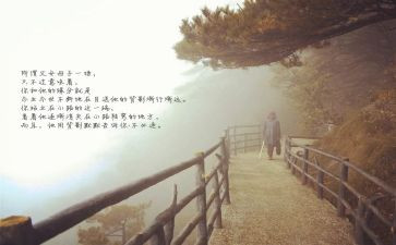 读《目送》心得体会8篇