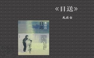 目送读后感400字6篇