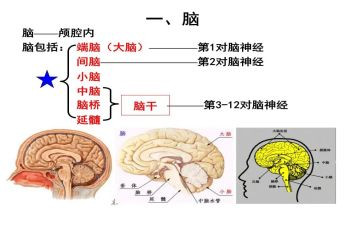 电脑课教案8篇