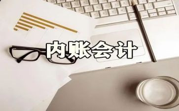 内账会计的工作总结5篇