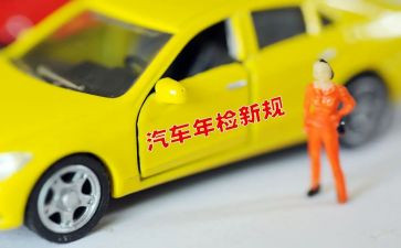 年检的工作总结6篇