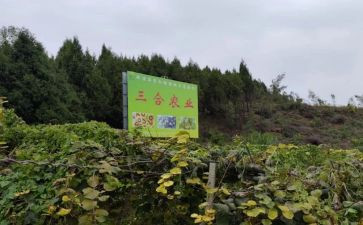 区域农产品代理合同6篇