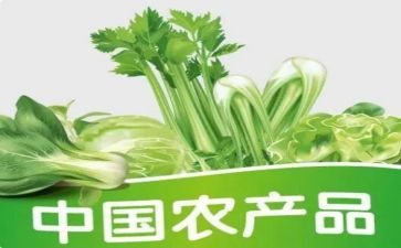 农产品质量安全监管站工作总结7篇