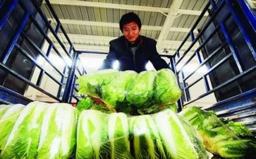 农产品销售合同7篇