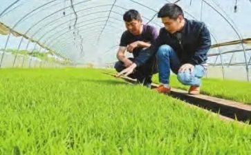 农技2022工作总结7篇