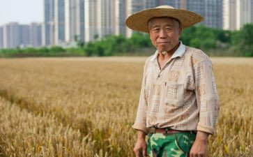 农民劳动合同7篇
