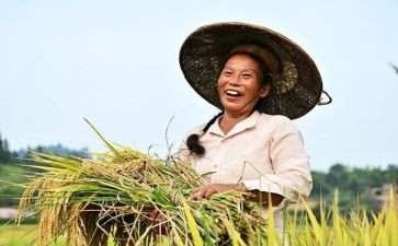 职业农民培训心得5篇