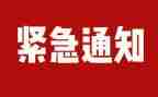 排查自查报告参考8篇