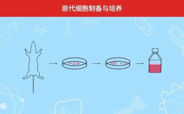 学校双培养工作总结5篇