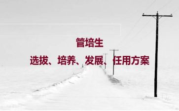 培养青年教师总结报告7篇