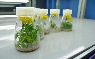 培养周心得体会6篇