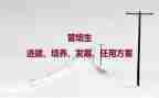学生培养心得7篇