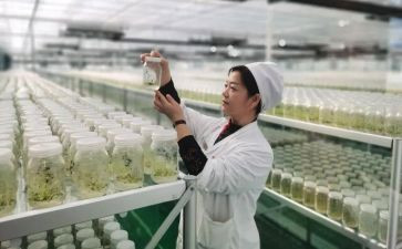 师德培育培育心得体会8篇