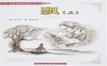 飘的读后感500字参考7篇