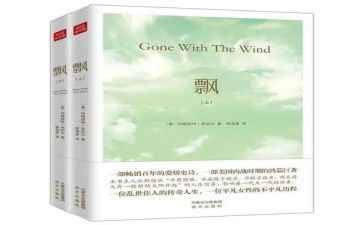 飘的读后感600字精选7篇
