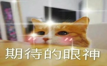 期待的我作文最新8篇