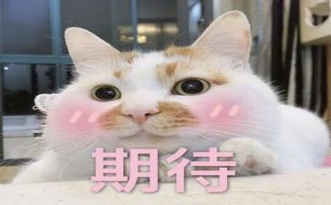 期待的我作文优秀7篇