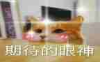 期待的我作文最新8篇