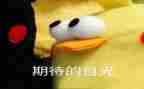 作文我期待600字8篇