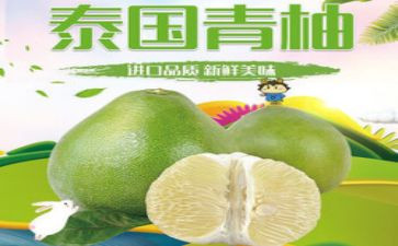 参观青柚心得体会参考7篇