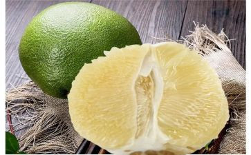 参观青柚心得体会推荐7篇