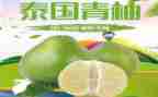 参观青柚心得体会参考7篇