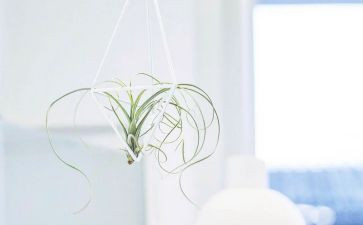 清醒作文8篇
