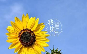红七月演讲稿8篇