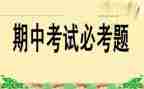 德育期中工作总结5篇