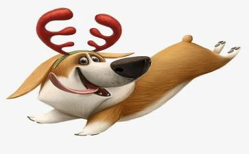 犬交易合同7篇