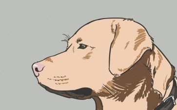 猎犬读后感7篇