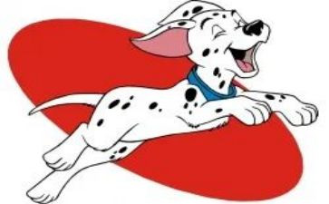 犬只管理会议讲话稿6篇