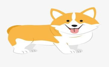 导盲犬迪克的读后感模板8篇